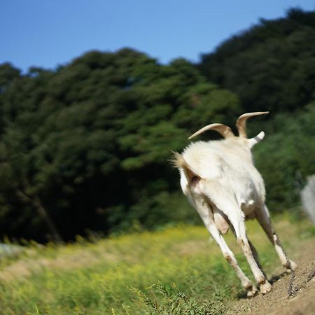 舞鶴ふるるファームコテージ Maizuru Eksteriør billede