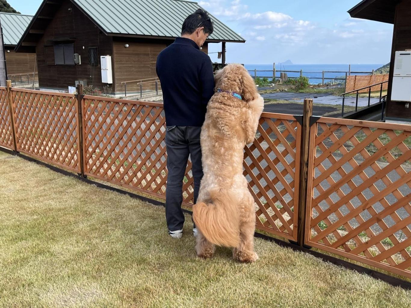舞鶴ふるるファームコテージ Maizuru Eksteriør billede
